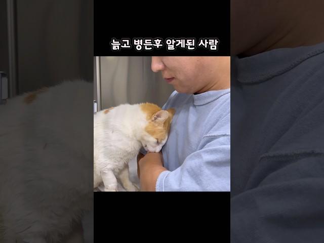 다시 혼자될까 두려운 고양이