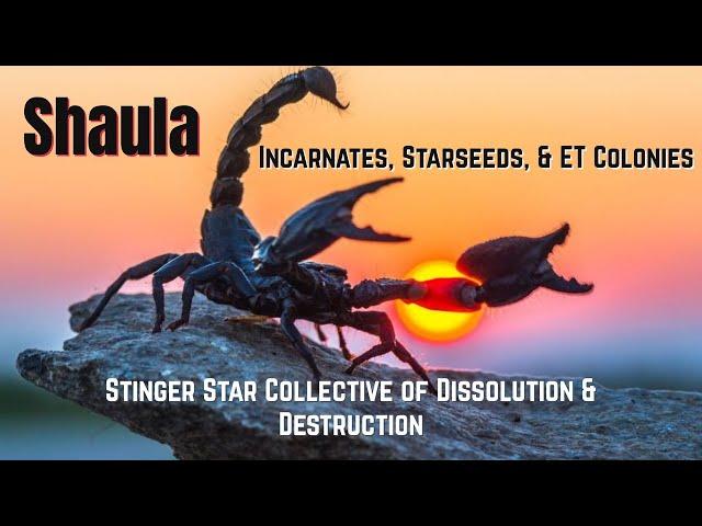 Shaula Incarnates, Starseeds, & ET Colonies. Stinger Star Collective of Dissolution & Destruction