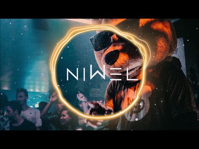 Niwel - Zdarmania (Philippe Zdar Tribute)