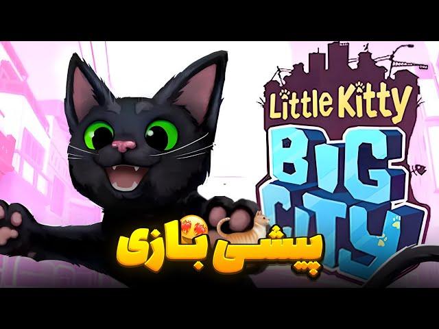 برادر پیشی بازی میکند  ( Little Kitty . Big City ) 