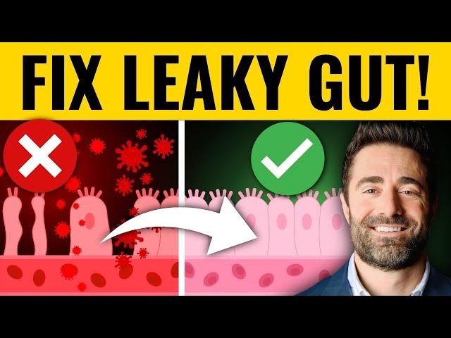 The 4 Most Effective Ways to Treat Leaky Gut (Clinical Pearls)