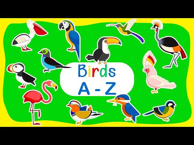 Feathered Friends: A Mini Documentary Exploring The World Of Birds From A To Z