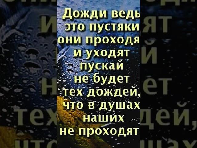 #дождь идет#рыжик у окна#ждёт#любящиесердца
