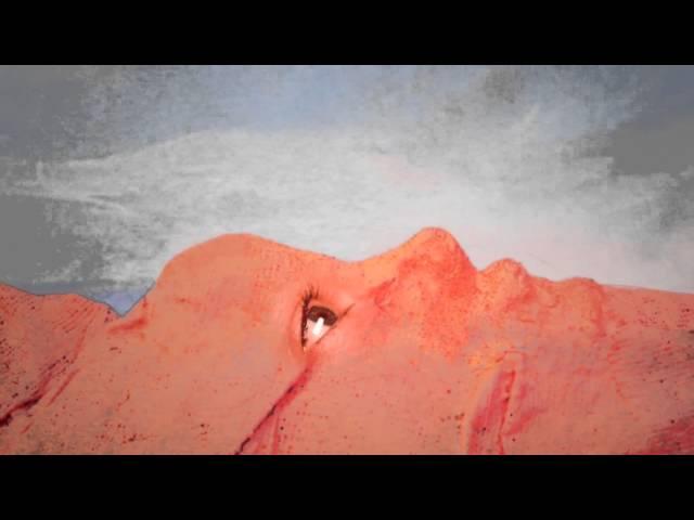 Bill Callahan "Javelin Unlanding" (Official Video)