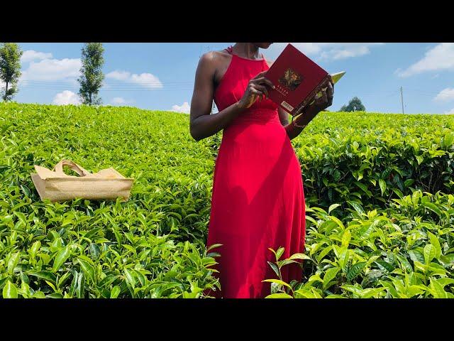 Slow living in the Kenyan countryside |Tea farm