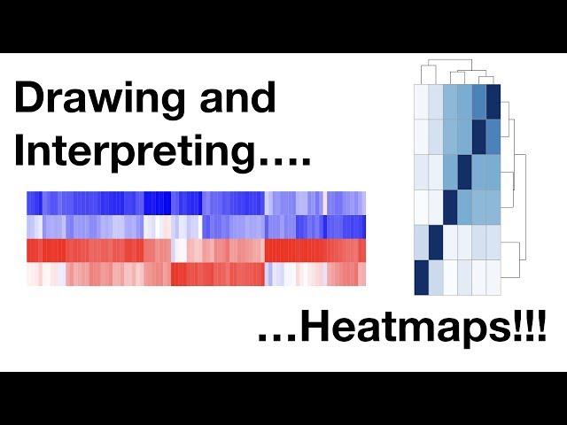 Drawing and Interpreting Heatmaps
