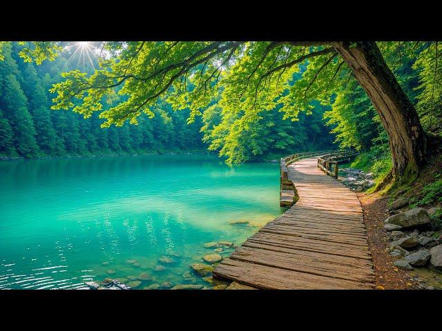 All Your Worries Will Disappear If You Listen To This Music Relaxing Music Calms The Nerves #9