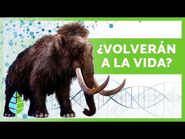 5 ANIMALES EXTINTOS que pueden VOLVER a la VIDA muy pronto  ¿Los Científicos los van a Revivir?