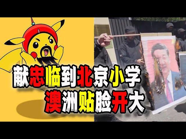 北京中關村三小發生“獻忠”事件，韭菜反噬少主子們？澳洲墨爾本焚燒習近平畫像和中國國旗（2024-10-28第2309期）