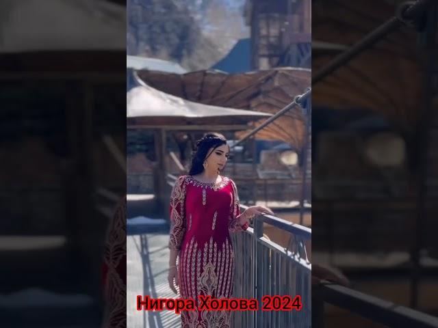 Нигора Холова  #2024