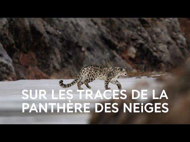 Dans les secrets de la vie sauvage avec Vincent Munier - La science expliquée aux 8-12 ans