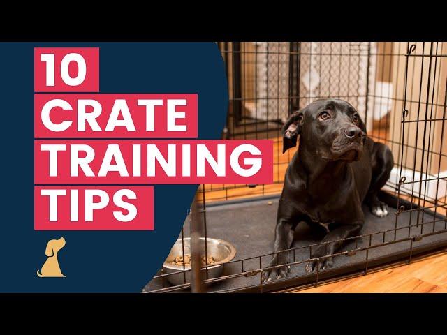 Crate Training Tips - 10 Hacks To Help Your New Puppy Love The Crate