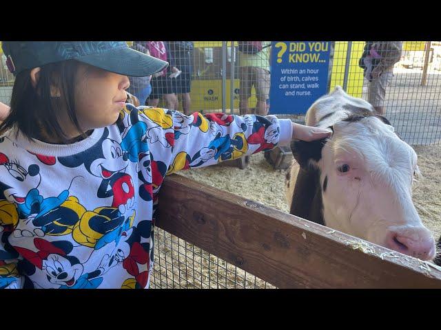 Farm Animals in the City #TheEKKA 2023 #brisbane