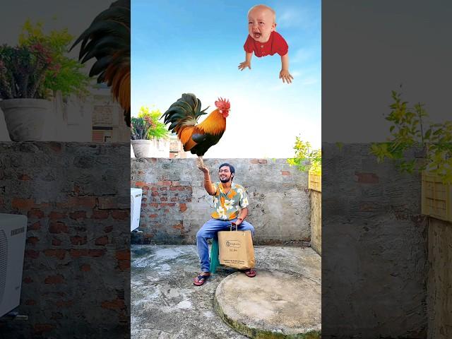 Flying crying babies Catching vs hen, parrot & puppy vs yellow lizard - Funny vfx magic 