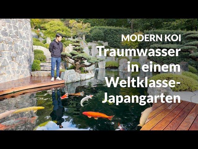 Mit Makoto bei Jana und Henning | Modern Koi Blog #6935