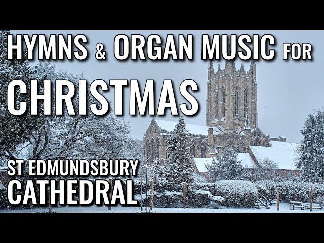  Christmas HYMNS & ORGAN MUSIC from St Edmundsbury Cathedral | VIRTUAL CHURCH