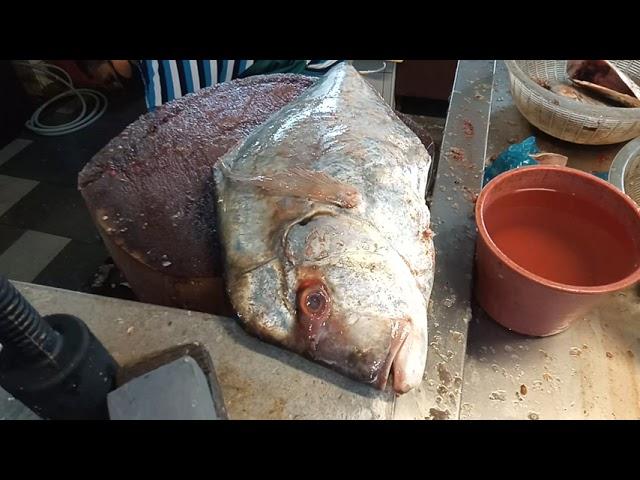 Diamond Travelly fish cutting skills in Penang Georgetown  Malaysia