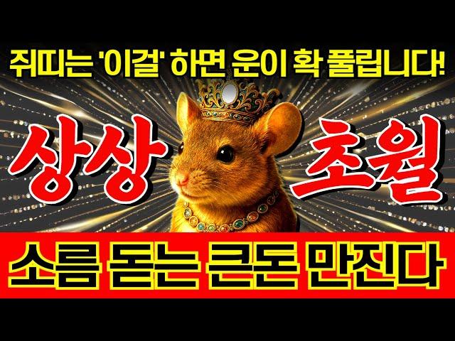 6월 7월 초대박 나는 쥐띠 운세! 미친듯한 돈복이 쏟아져 지금부터 대박입니다. 하늘에서 돈이 떨어집니다. 그냥 믿고 보는  '96년 84년 72년 60년 48년생'  쥐띠 운세
