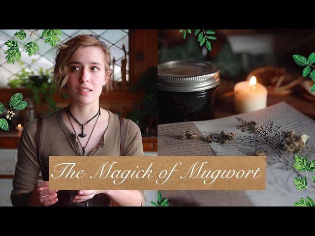 The Magick of Mugwort | Magickal Herbal Profile | Properties of Herbs