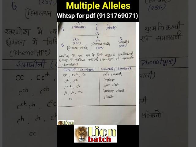 multiple allels notes pdf in Hindi knowledge adda lion batch notes pdf zoology #9131769071 #neet