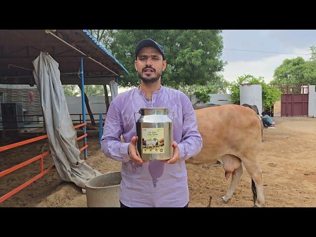 Kasutam A2 Cow Ghee 5 Liter Steel Can