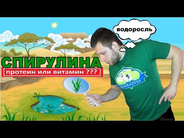 СПИРУЛИНА это ПРОТЕИН или ВИТАМИН ???