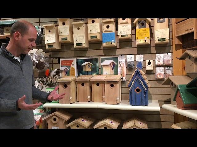 Bluebird houses: tips for success