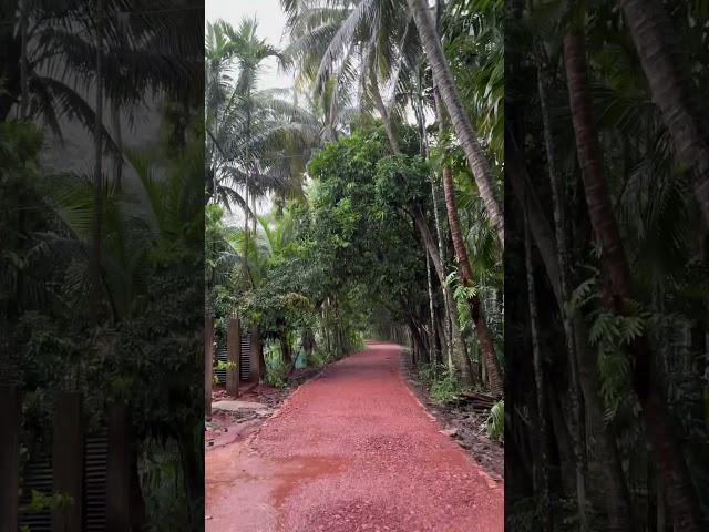 Village X rain