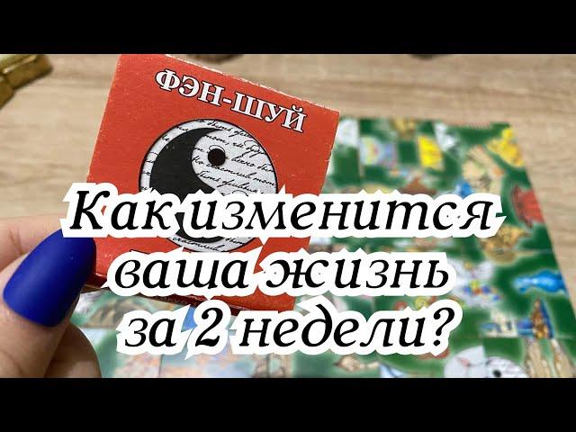 Как изменится ваша жизнь за 2 недели? Гадание на пасьянсе Карина Захарова