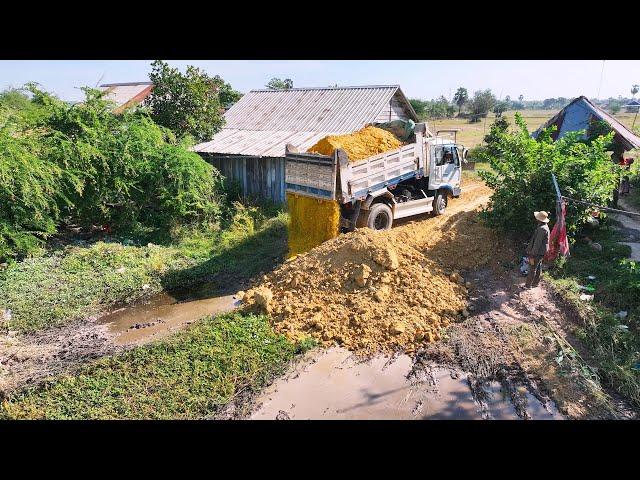 Start new project ​Interesting to fill using Bulldozer mini & truck 5T Pushing Soil  Into the field