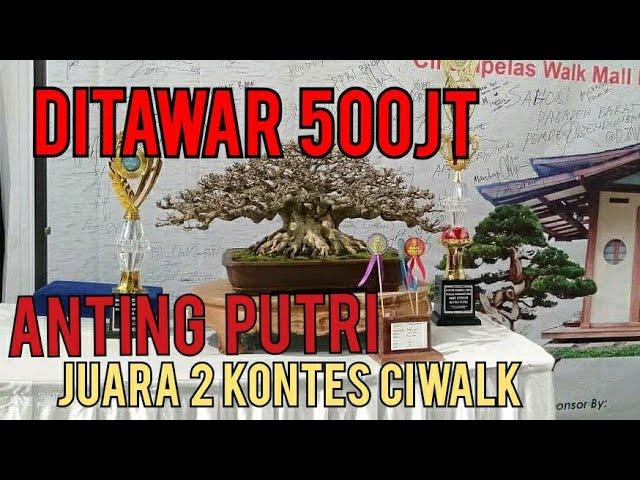 anting putri juara di kontes pameran ciwalk bandung ditawar 500jt