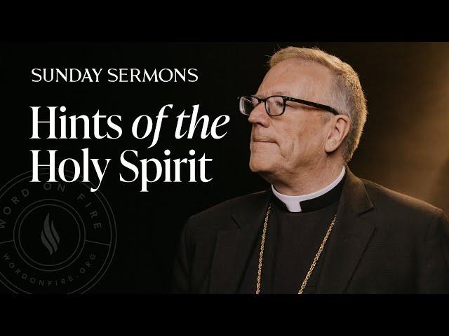 Hints of the Holy Spirit - Bishop Barron's Sunday Sermon