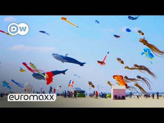 Biggest Kite Festival in Europe | Up in the Air in Berck-sur-Mer, France