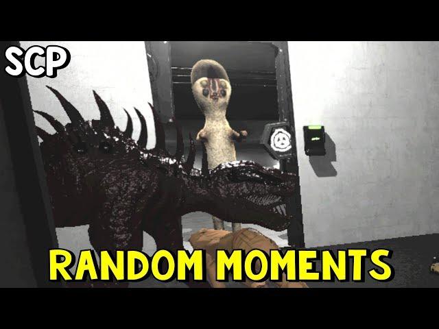 SCP: Secret Laboratory | Random Moments