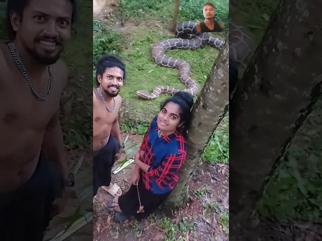 Top snake in forest by create two brother #snake #nature #travel #forest #malayalam #shorts