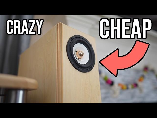 Crazy Cheap Speaker is Like Nothing I've Heard Before