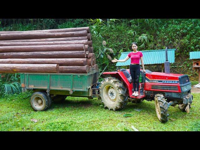 Wood Transport & Forest Cabin Build | DIY Wooden House in the Wilderness 2025