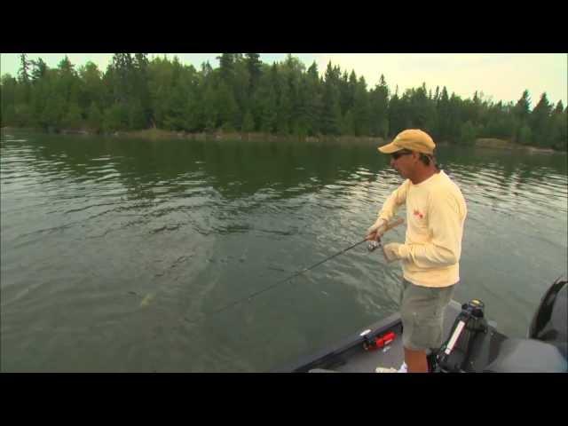 Vertical Technique for Suspended Smallmouths