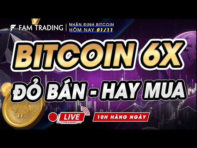 Phân tích Bitcoin hôm nay & Cập nhật thị trường Crypto ngày 01/11/2024