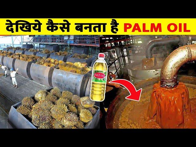 फैक्ट्री में पाम आयल कैसे बनता है |How Palm Oil Is Made In Factory | Palm Oil Manufacturing In Hindi