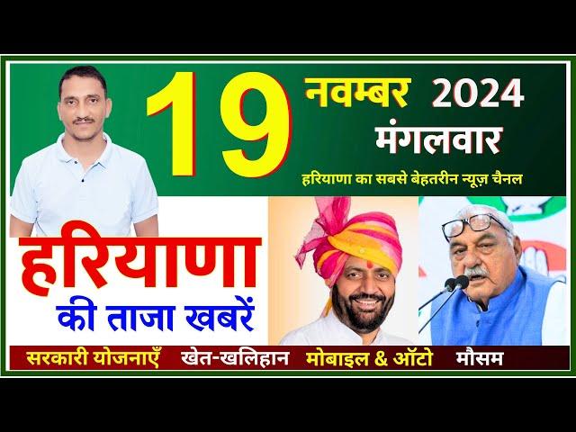 19 November 2024 Haryana News || हरियाणा की ताजा खबरें || Haryana Live News || CWB Hindi News