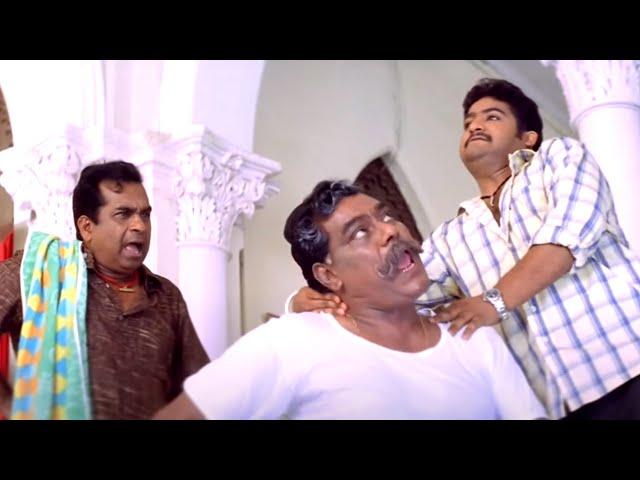 Jr Ntr , Brahmanandam And Kota Srinivasa Rao Comedy Scene | Telugu Comedy Scenes | @ManaChitraalu