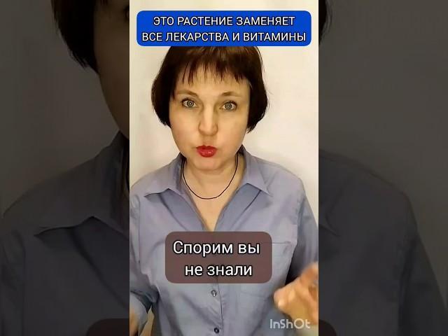 ОДНО РАСТЕНИЕ СПОСОБНО ЗАМЕНИТЬ ЛЕКАРСТВА, ВИТАМИНЫ и БАДы ‼️ #shots