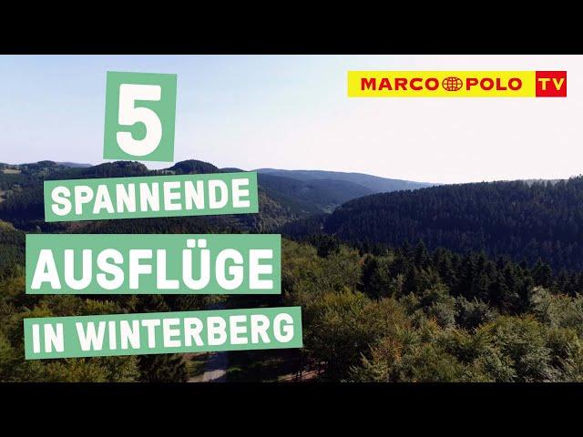 Spannung im Sauerland! - Die Top 5 Ausflüge in Winterberg