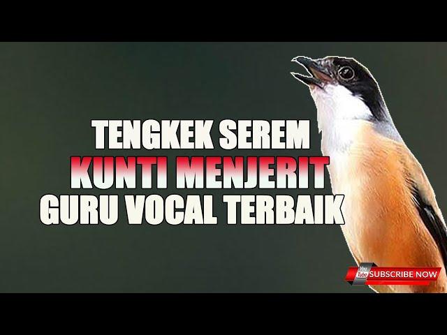 MASTERAN CENDET VIRALL TENGKEK BUTO FEAT KUNTI GURU VOCAL PALING HANDALL !!!