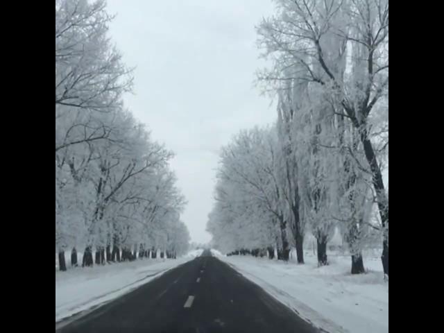 Briceni, Donduseni, Moldova