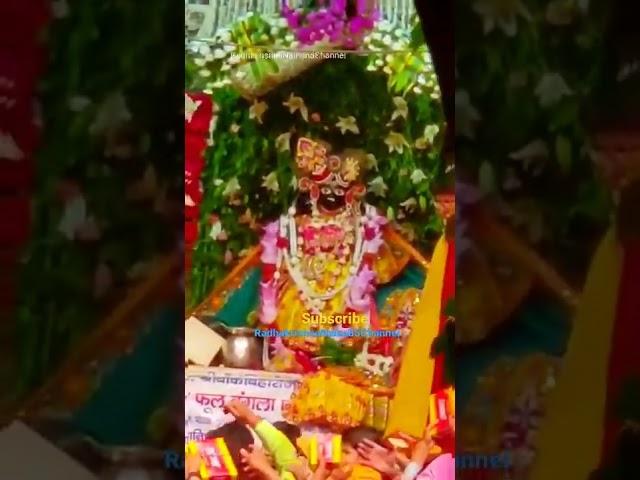 Shri Banke bihari ji darshan ।Banke Bihari Ji Temple Vrindavan #bankebiharimandir   #shorts