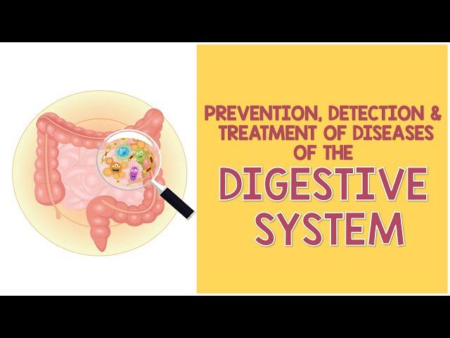 Prevention, Detection, and Treatment of Diseases of the Digestive System | Biology Animation