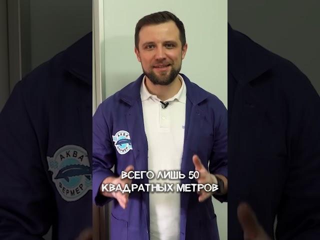 5 000 000 рублей в год на выращивании СОМА на ферме УЗВ!