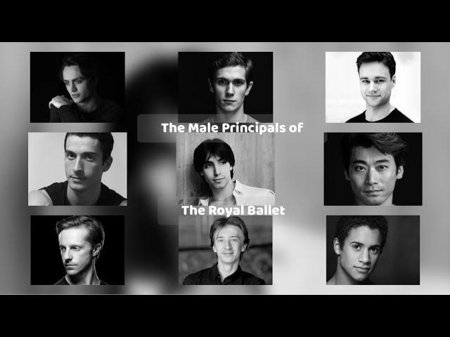 The Royal Ballet ~ Male Principals 2023/24